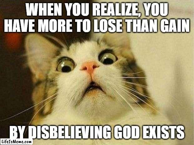 Pascal's Cat | WHEN YOU REALIZE, YOU HAVE MORE TO LOSE THAN GAIN; BY DISBELIEVING GOD EXISTS | image tagged in memes,scared cat,pascal wager,jesus christ,god,god exists | made w/ Lifeismeme meme maker