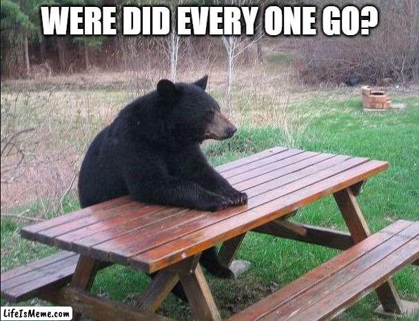 Lonely Bear | WERE DID EVERY ONE GO? | image tagged in lonely bear | made w/ Lifeismeme meme maker