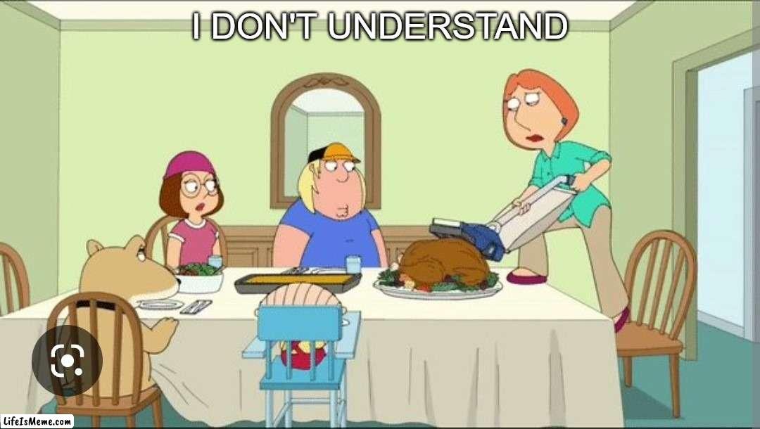 I don't understand | I DON'T UNDERSTAND | image tagged in family guy,lois griffin,thanksgiving | made w/ Lifeismeme meme maker