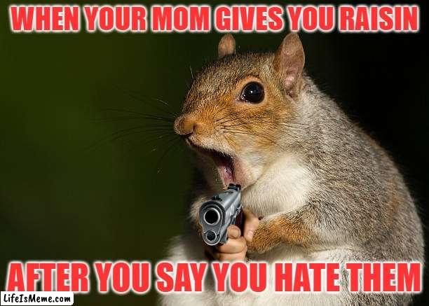 i hat raisins | WHEN YOUR MOM GIVES YOU RAISIN; AFTER YOU SAY YOU HATE THEM | image tagged in funny | made w/ Lifeismeme meme maker