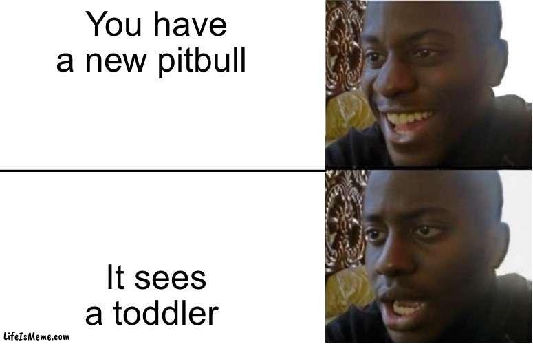 Pitbull problems | You have a new pitbull; It sees a toddler | image tagged in disappointed black guy | made w/ Lifeismeme meme maker
