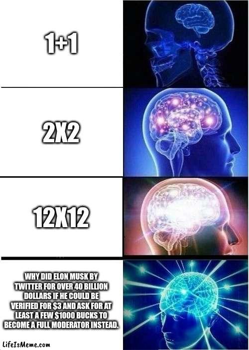 my brain every day be like: | 1+1; 2X2; 12X12; WHY DID ELON MUSK BY TWITTER FOR OVER 40 BILLION DOLLARS IF HE COULD BE VERIFIED FOR $3 AND ASK FOR AT LEAST A FEW $1000 BUCKS TO BECOME A FULL MODERATOR INSTEAD. | image tagged in memes,expanding brain | made w/ Lifeismeme meme maker
