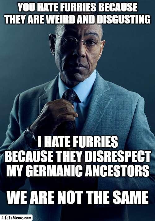 we are not the same in views | YOU HATE FURRIES BECAUSE THEY ARE WEIRD AND DISGUSTING; I HATE FURRIES BECAUSE THEY DISRESPECT MY GERMANIC ANCESTORS | image tagged in we are not the same | made w/ Lifeismeme meme maker