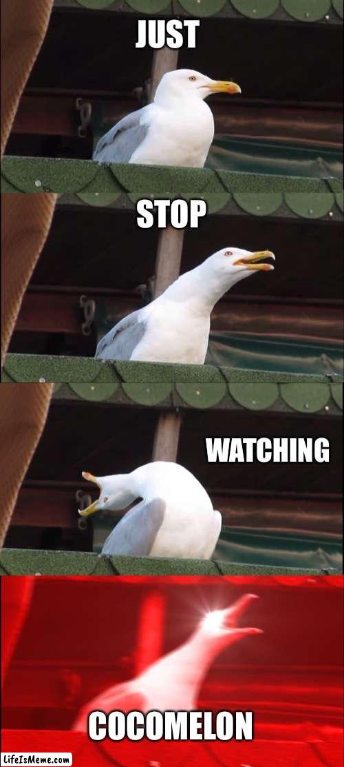 Listen to the man | JUST; STOP; WATCHING; COCOMELON | image tagged in memes,inhaling seagull,cocomelon,funny,fun | made w/ Lifeismeme meme maker