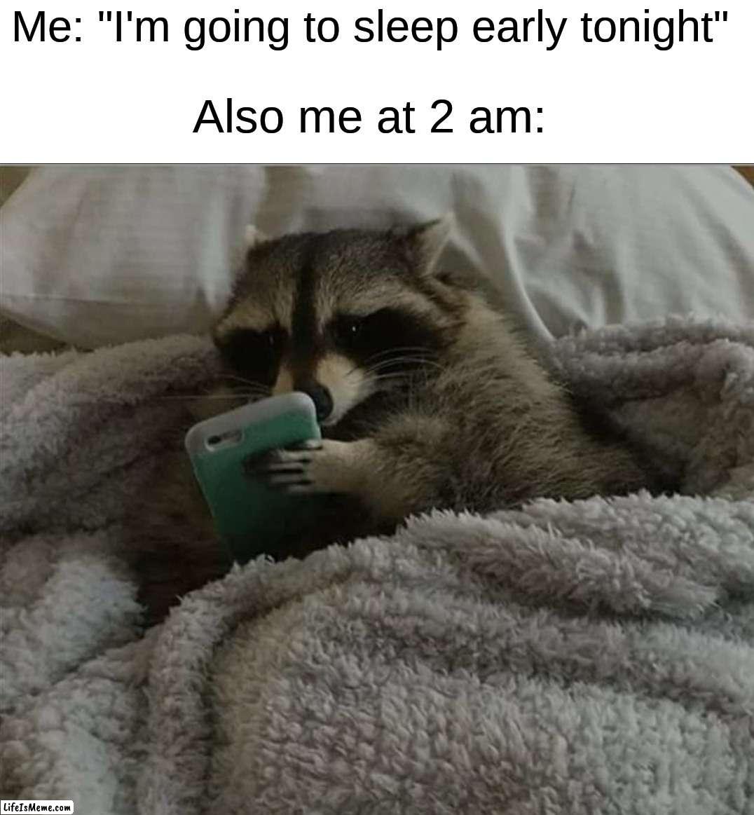 Like that's ever gonna happen | Me: "I'm going to sleep early tonight"; Also me at 2 am: | image tagged in raccoon in bed,memes,funny,true story,relatable memes,sleep | made w/ Lifeismeme meme maker