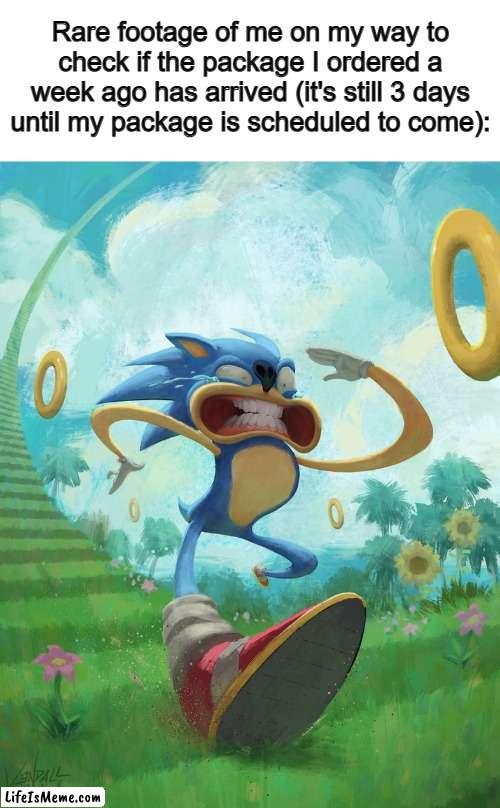 If my order contains something I'm excited for, then I'll spend half the day checking lol | Rare footage of me on my way to check if the package I ordered a week ago has arrived (it's still 3 days until my package is scheduled to come): | image tagged in run sonic | made w/ Lifeismeme meme maker