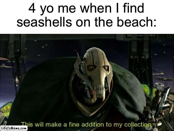 This will make a fine addition to my collection | 4 yo me when I find seashells on the beach: | image tagged in this will make a fine addition to my collection,seashells | made w/ Lifeismeme meme maker