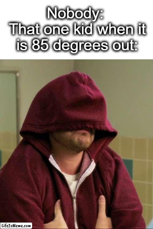 (FAHRENHEIT) we all have this one kid... | Nobody: 
That one kid when it is 85 degrees out: | image tagged in nick miller sweatshirt,hot,cold,clothing,joseph stalin,cold weather | made w/ Lifeismeme meme maker