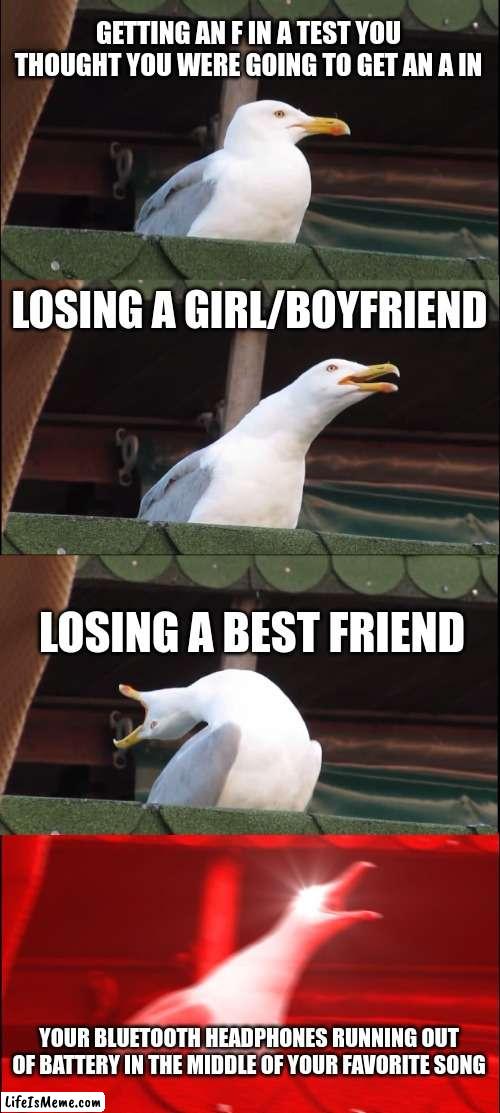 Most painful moments in life | GETTING AN F IN A TEST YOU THOUGHT YOU WERE GOING TO GET AN A IN; LOSING A GIRL/BOYFRIEND; LOSING A BEST FRIEND; YOUR BLUETOOTH HEADPHONES RUNNING OUT OF BATTERY IN THE MIDDLE OF YOUR FAVORITE SONG | image tagged in memes,inhaling seagull | made w/ Lifeismeme meme maker