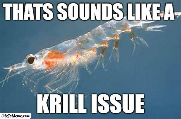 krill issue | THATS SOUNDS LIKE A; KRILL ISSUE | image tagged in funny | made w/ Lifeismeme meme maker