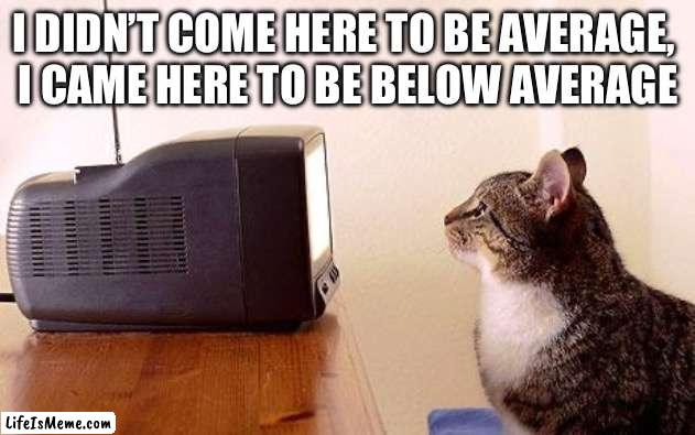 Below average | I DIDN’T COME HERE TO BE AVERAGE, 
I CAME HERE TO BE BELOW AVERAGE | image tagged in cat watching tv | made w/ Lifeismeme meme maker