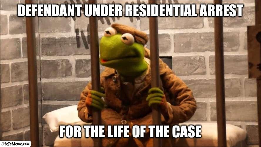 For the Last 18 Years | DEFENDANT UNDER RESIDENTIAL ARREST; FOR THE LIFE OF THE CASE | image tagged in kermit in jail,all this time | made w/ Lifeismeme meme maker