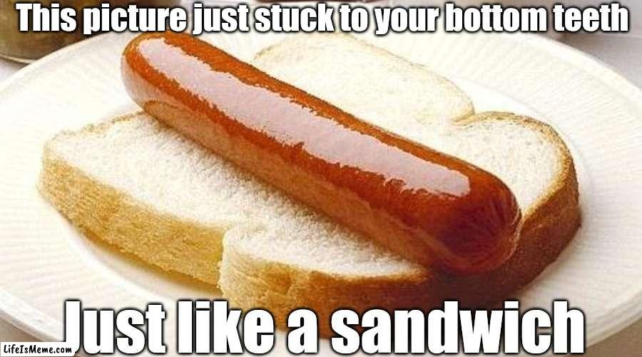 Only some know this struggle | This picture just stuck to your bottom teeth; Just like a sandwich | image tagged in hotdog,sandwich,bread | made w/ Lifeismeme meme maker